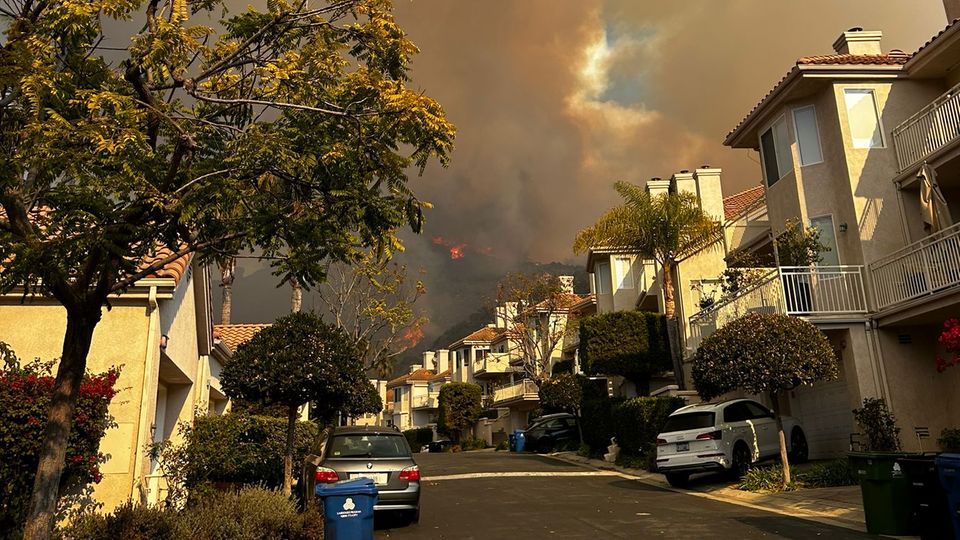  Der Anblick von Lisa Erwins Straße in Los Angeles