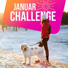 Spaziergang: ein Spaziergängerin mit Hund