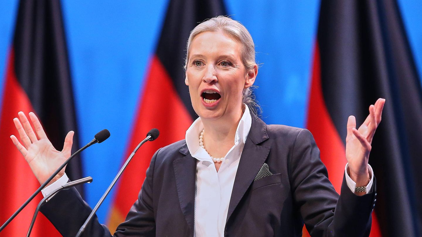 AfD elects Weidel as candidate for chancellor – with standing up and clapping