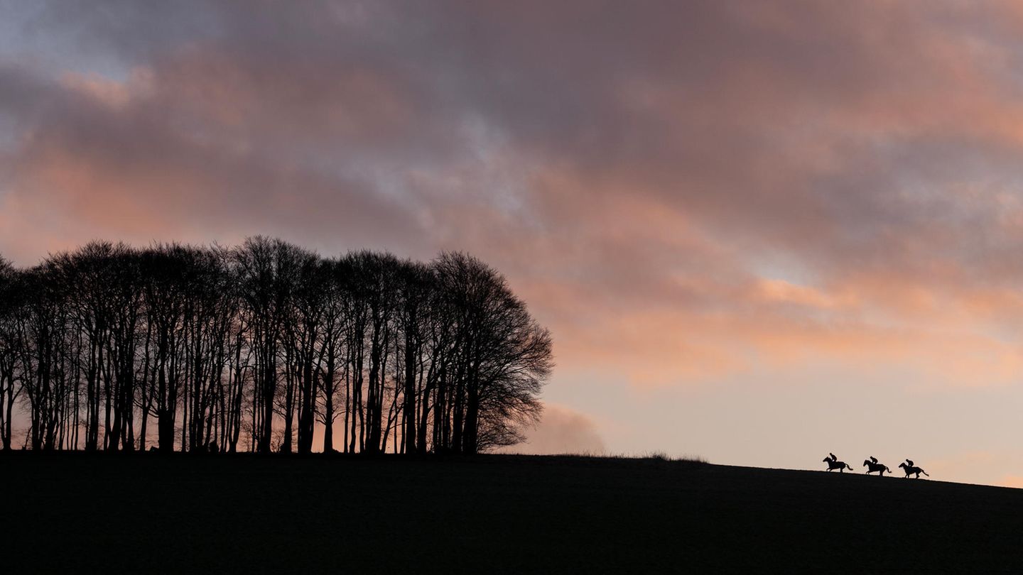 Sportofoto: Drei Reiter am Horizont neben einem Waldstück