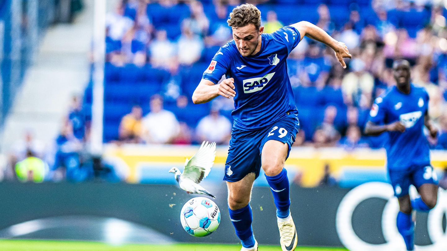 Sportfoto: Ein Fußballerspieler verfolgt den Ball, doch eine Taube kommt ihm in die Quere