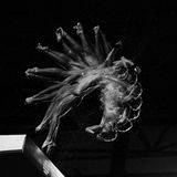 Sportfoto: Bewegungsablauf eines Turmspringers