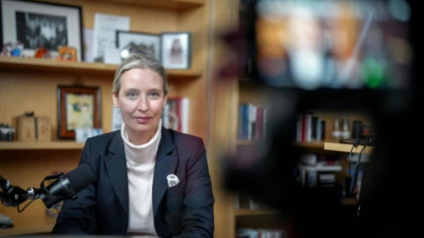 Weidel bei Gespräch mit Musk am Donnerstag