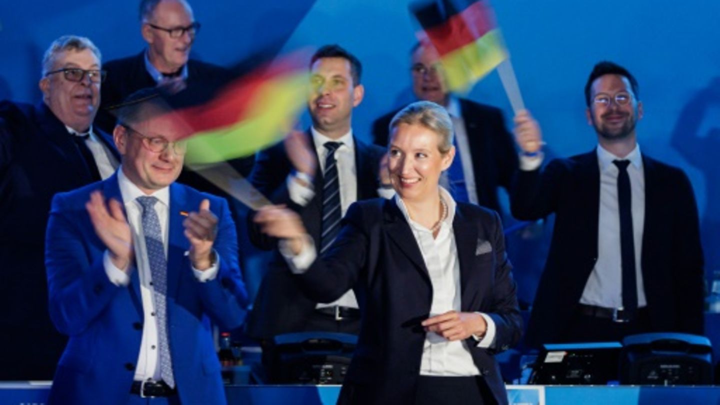 Weidel in Riesa