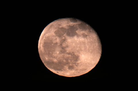 Der erste Vollmond des Jahres wird auch Wolfsmond genannt