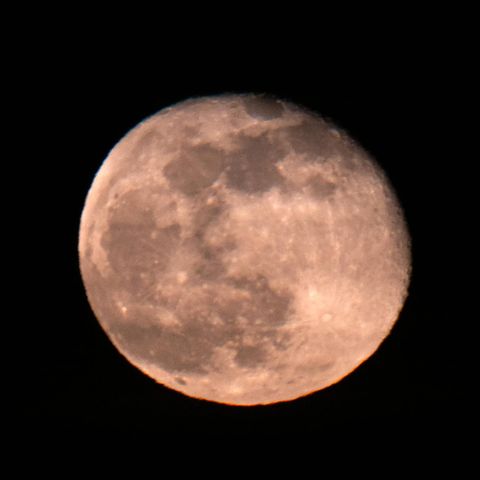 Der erste Vollmond des Jahres wird auch Wolfsmond genannt
