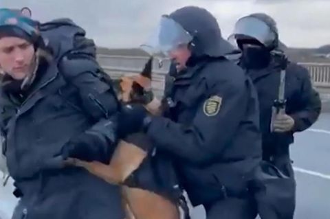 Sachsen: Polizist hetzt Hund bei Anti-AfD-Protest in Riesa auf Demonstrant
