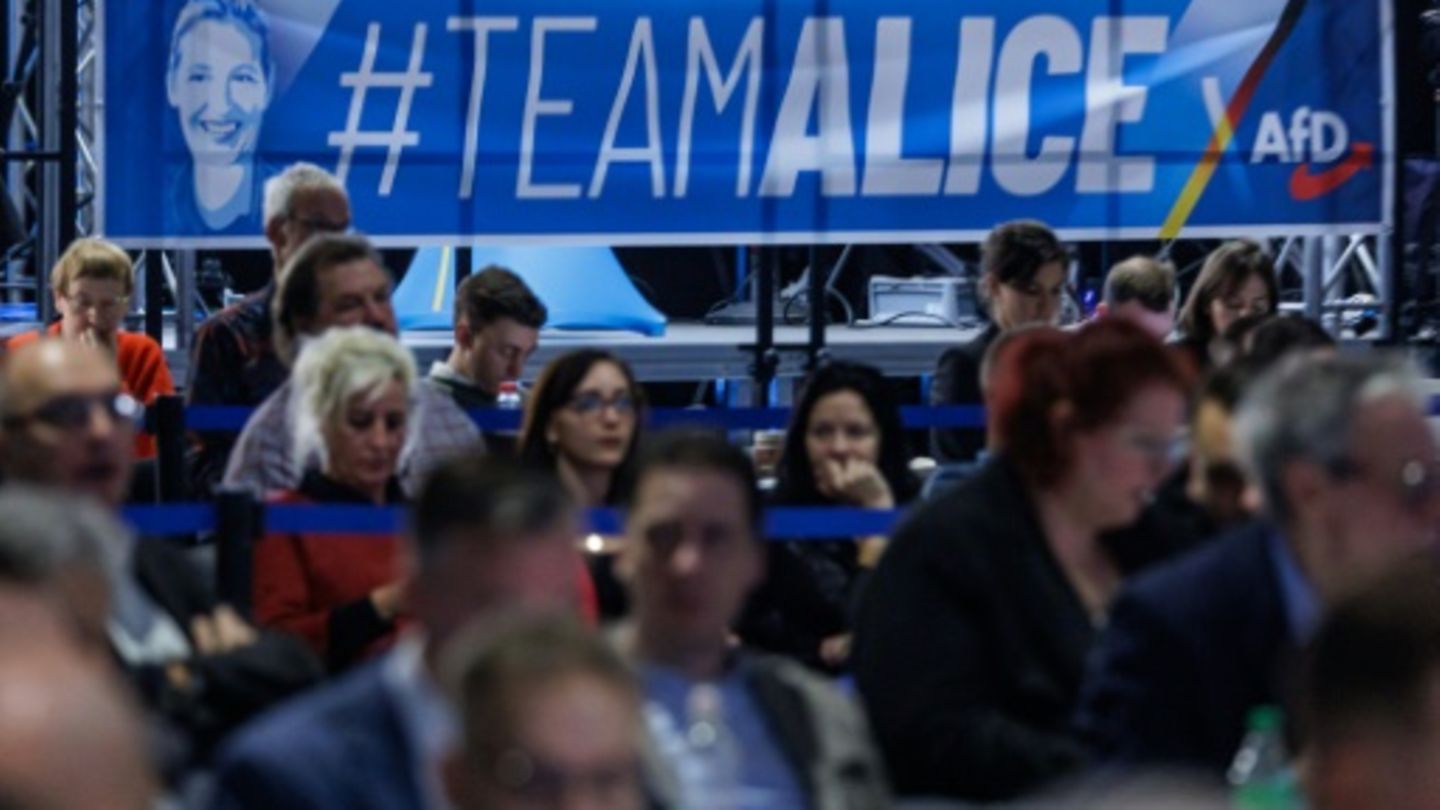 Delegierte auf dem AfD-Parteitag in Riesa