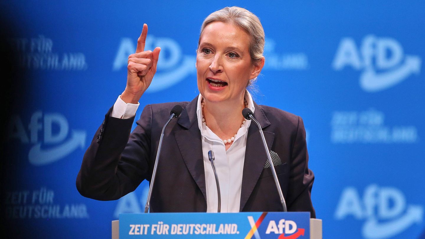 Alice Weidel auf dem AfD-Parteitag in Riesa