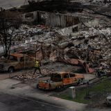 Eine vom Feuer völlig zerstörte Gegend in West Jasper, Kanada