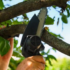 Person, die einen Ast eines Baumes mit einer Handkettensäge schneidet