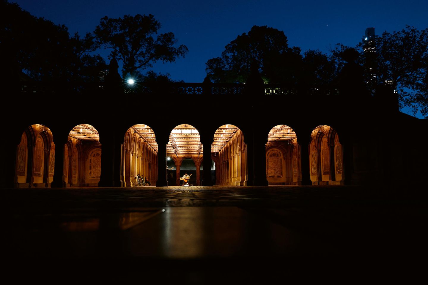 Der Central Park bei Nacht