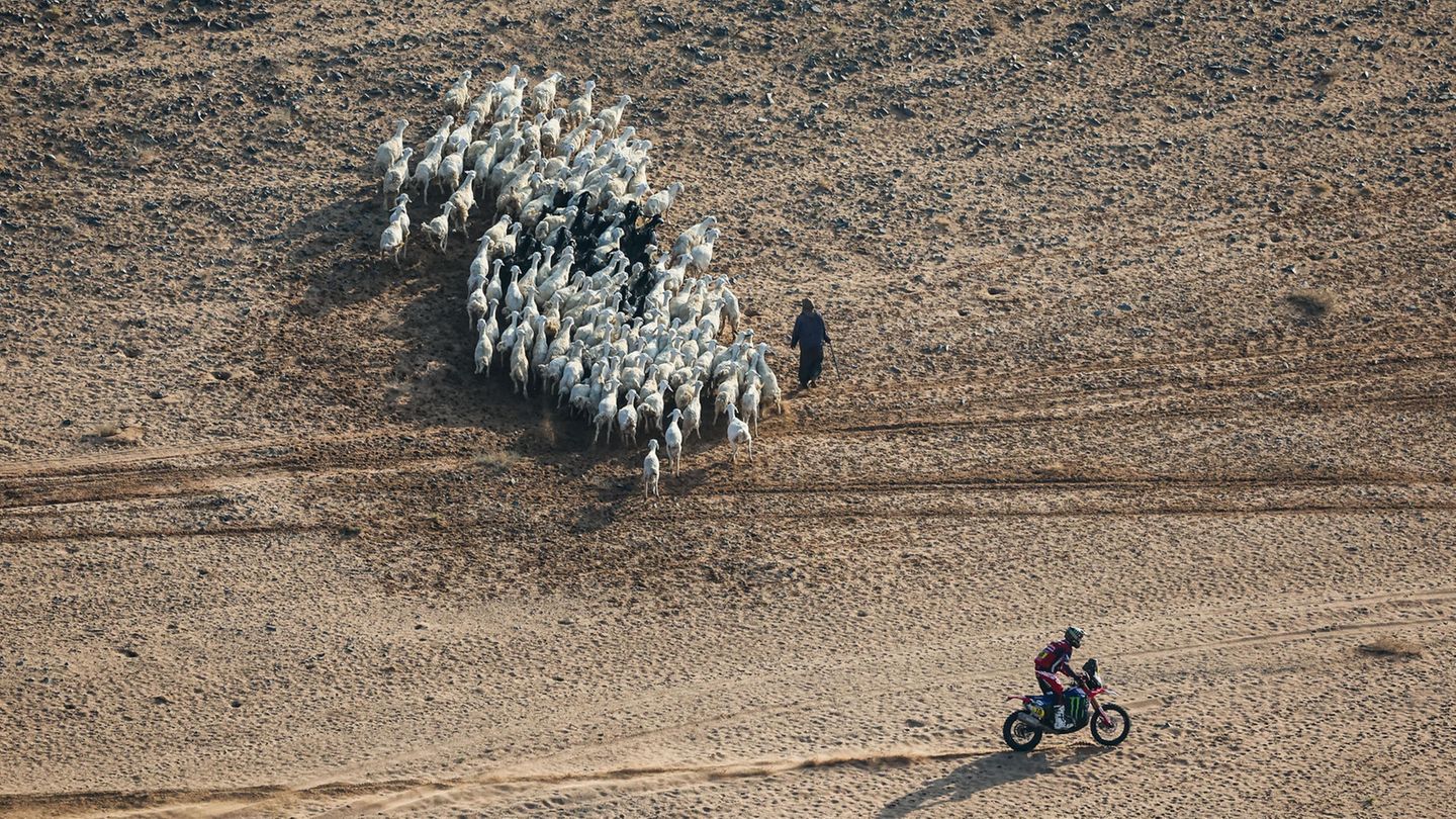 Ein Wettkämpfer fährt an einer Schafherde vorbei, während er die ansonsten einsamen Weiten der Steppe durchquert