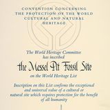 Urkunde UNESCO Welterbestätte Messel