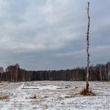 Barry Falk - In Search of Amnesia - Jewish Narrative in Poland and Ukraine / Buchveröffentlichung Kehrer Verlag