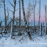 Cover: Barry Falk - In Search of Amnesia veröffentlicht beim Kehrer Verlag