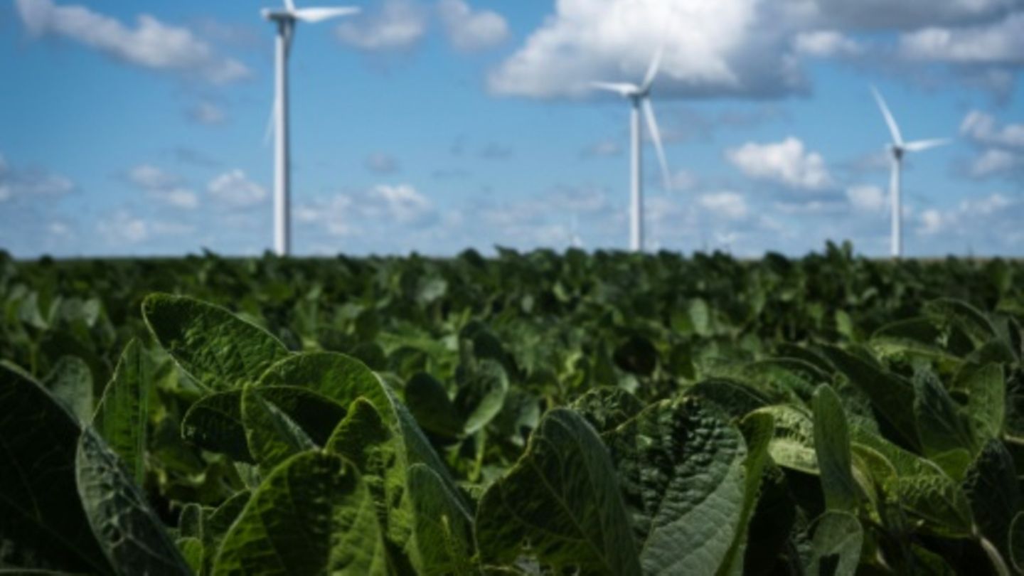 Windräder im  US-Bundesstaat Iowa