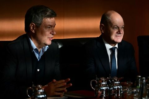 Scholz und Habeck im Kabinett