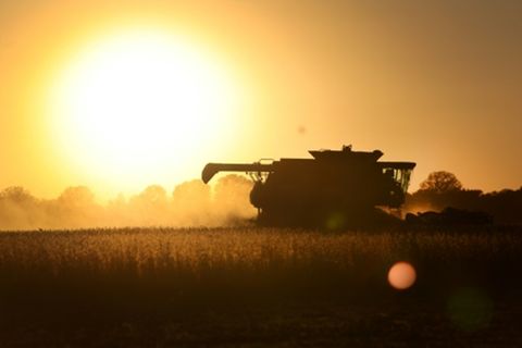 Landwirtschaft