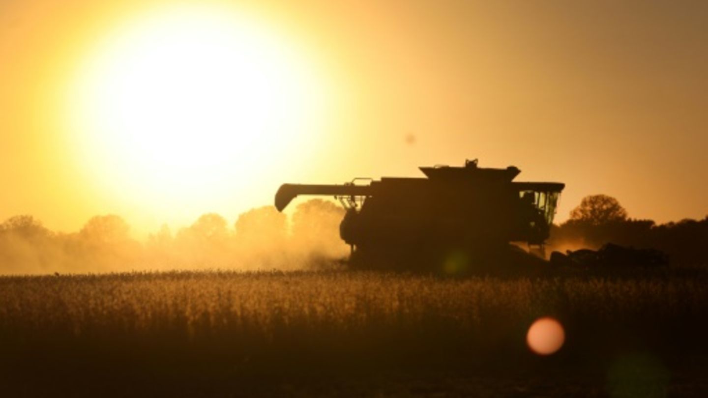 Landwirtschaft