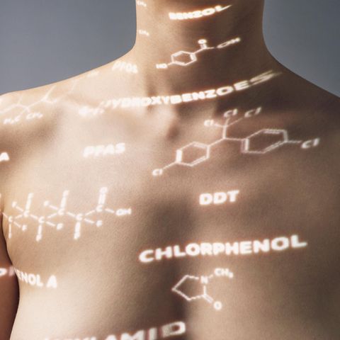 Chemicals in the body: upper body of a woman