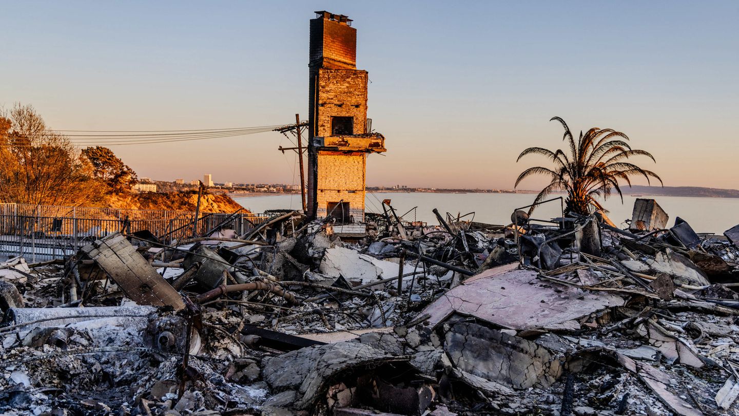 Die Brände in Los Angeles haben von diesem Anwesen mit Meerblick nur den Schornstein übrig gelassen