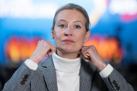 AfD-Chefin Alice Weidel irritiert im Wahlkampf mit Gesprächen mit Elon Musk und Aussagen über Windräder