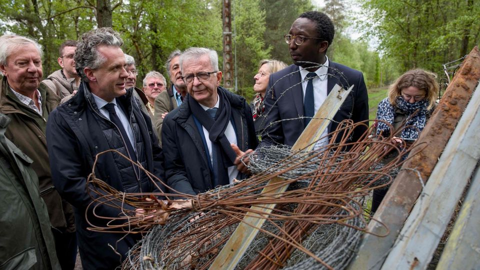 Drahtzaun im Wald der Sologne