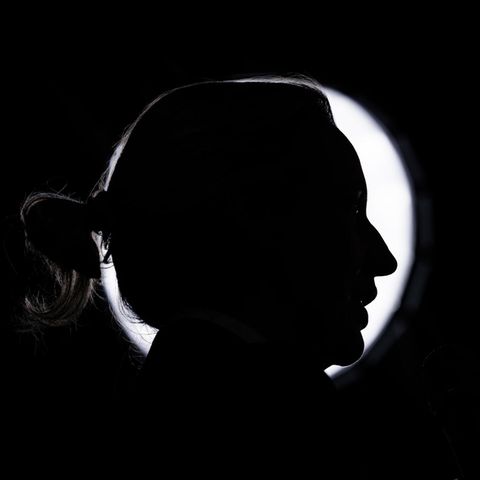 AfD chairman Alice Weidel