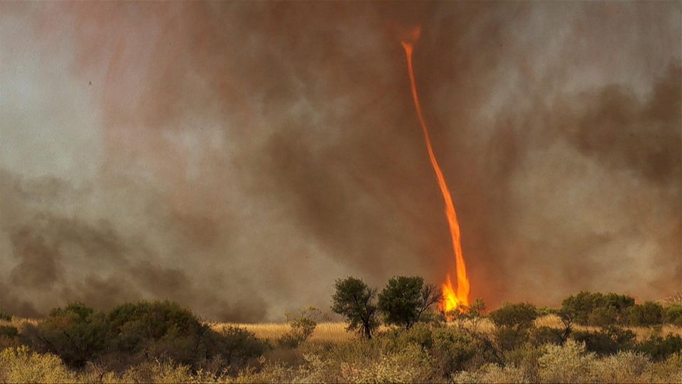 "Gefahr für die Einsatzkräfte": So formt ein Waldbrand einen Feuertornado Ein Feuertornado, eigentlich Feuerteufel, wirbelt in der Savanne dunkle Wolken in die Luft
