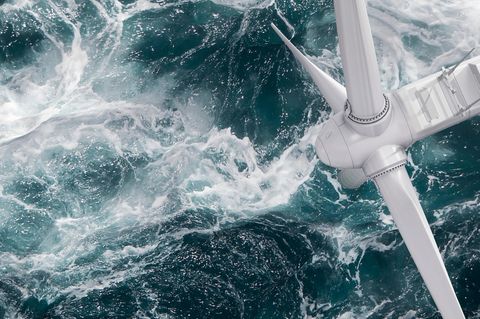 Offshore Windparks stören keine Anwohner - aber wie wirken sie sich auf das Ökosystem aus?