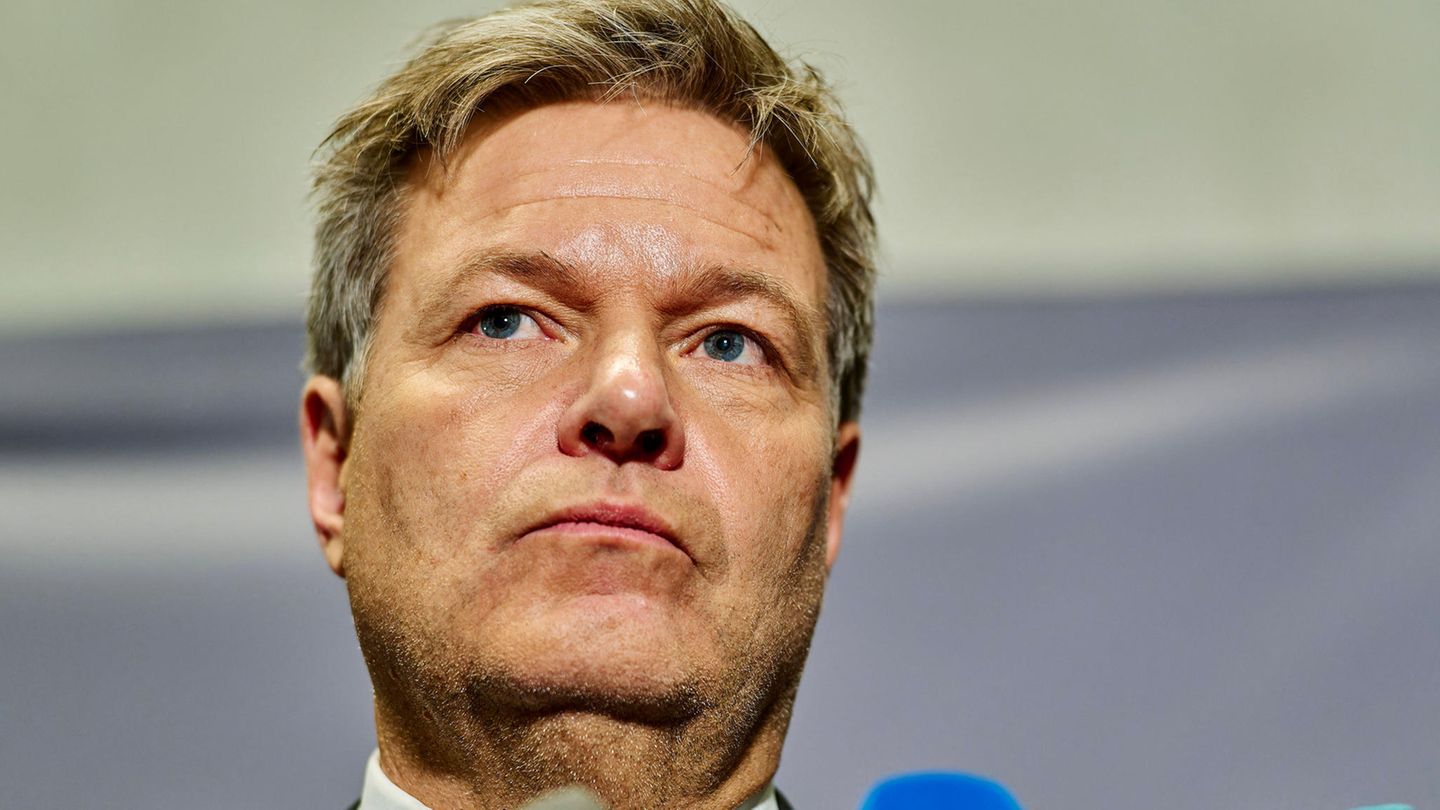 Robert Habeck: Projection on Kunsthalle Hamburg causes trouble for Greens