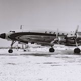 Super Star im Winter