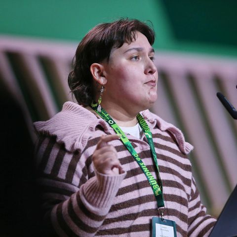 Stefan Gelbhaar: Shirin Kreße has resigned from the Green Party and resigned from her mandate