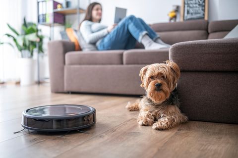 Frau und Hund entspannen sich im Wohnzimmer, während der Roboter staubt.