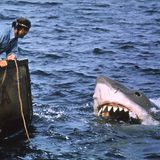 Szene aus "Der weiße Hai"