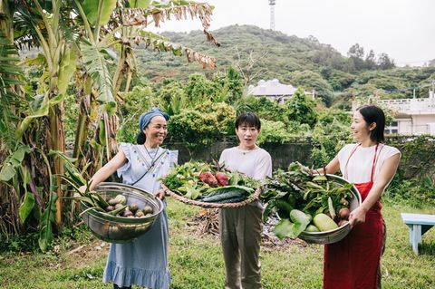 Die 80-Prozent-Regel auf Okinawa macht Schule: "Hara hachi bu" − iss, bis du zu 80 Prozent satt bist. Auf der japanischen Insel gehört diese Regel zur Esskultur wie das Wasserglas zum Tisch. Die Menschen werden hier deutlich älter als im Rest der Welt. Kleine Schälchen statt großer Teller sind dabei mehr als nur Tradition, sie helfen, Portionen bewusst kleinzuhalten. Die Philosophie dahinter ist ebenso einfach wie effektiv: Der Magen soll zufrieden, aber nie überladen sein. Nach dem achten "gedachten" Bissen von zehn legen die Bewohner Okinawas bereits die Stäbchen beiseite
