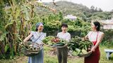 Die 80-Prozent-Regel auf Okinawa macht Schule: "Hara hachi bu" − iss, bis du zu 80 Prozent satt bist. Auf der japanischen Insel gehört diese Regel zur Esskultur wie das Wasserglas zum Tisch. Die Menschen werden hier deutlich älter als im Rest der Welt. Kleine Schälchen statt großer Teller sind dabei mehr als nur Tradition, sie helfen, Portionen bewusst kleinzuhalten. Die Philosophie dahinter ist ebenso einfach wie effektiv: Der Magen soll zufrieden, aber nie überladen sein. Nach dem achten "gedachten" Bissen von zehn legen die Bewohner Okinawas bereits die Stäbchen beiseite