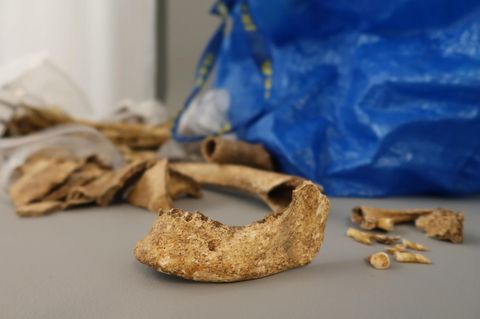 Die Knochen aus der Ikea-Tasche sind die sterblichen Überreste eines Menschen, der offenbar vor rund 1500 Jahren lebte