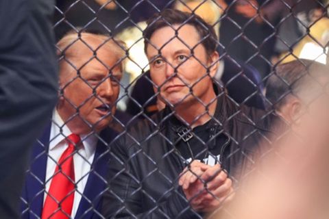 Trump beauftragte Musk mit Leitung der Abteilung für Regierungseffizienz