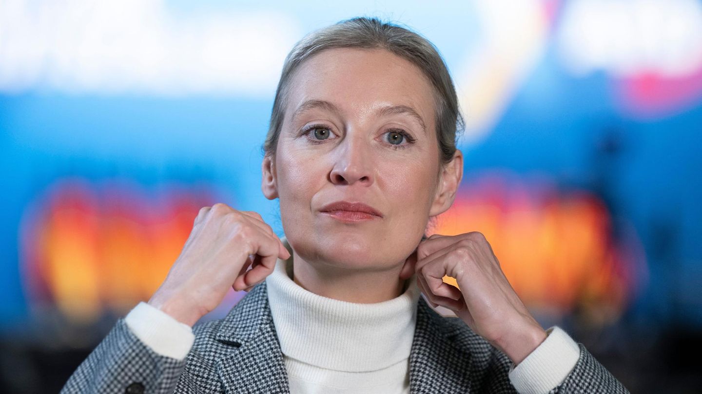 Alice Weidel can imagine herself as head of Müllermilch in the government