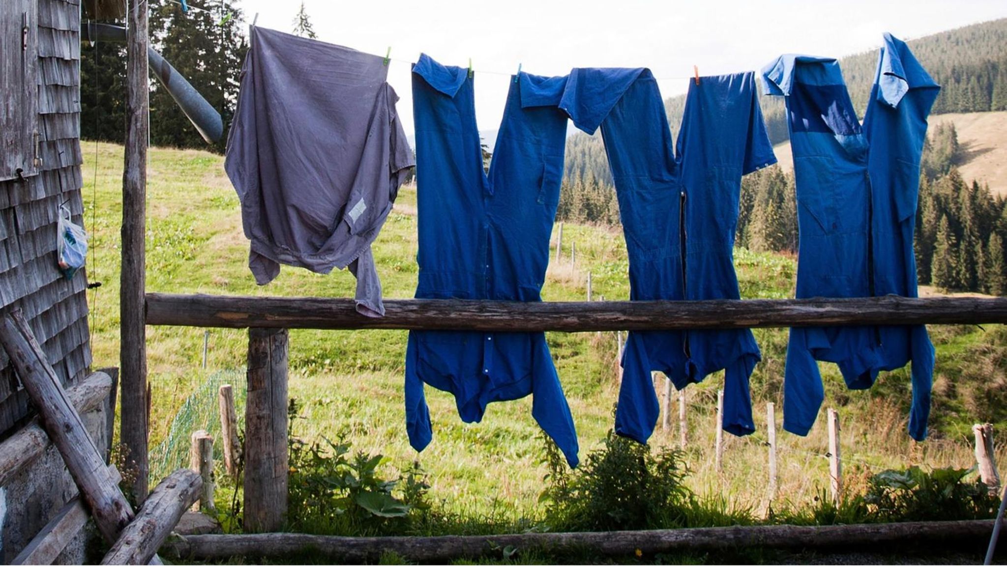 Blaumachen: Blaumänner hängen auf Wäscheleine draußen zum trocknen