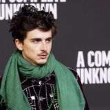 Der 29-jährige New Yorker gilt für seine Darstellung des jungen Folk-Sängers Bob Dylan in "Like a Complete Unknown" als heißer Oscar-Kandidat und ist bekannt für fulminante Einlagen auf dem roten Teppich. Gerne mit Bad in der Menge und in ungewöhnlichen Outfits