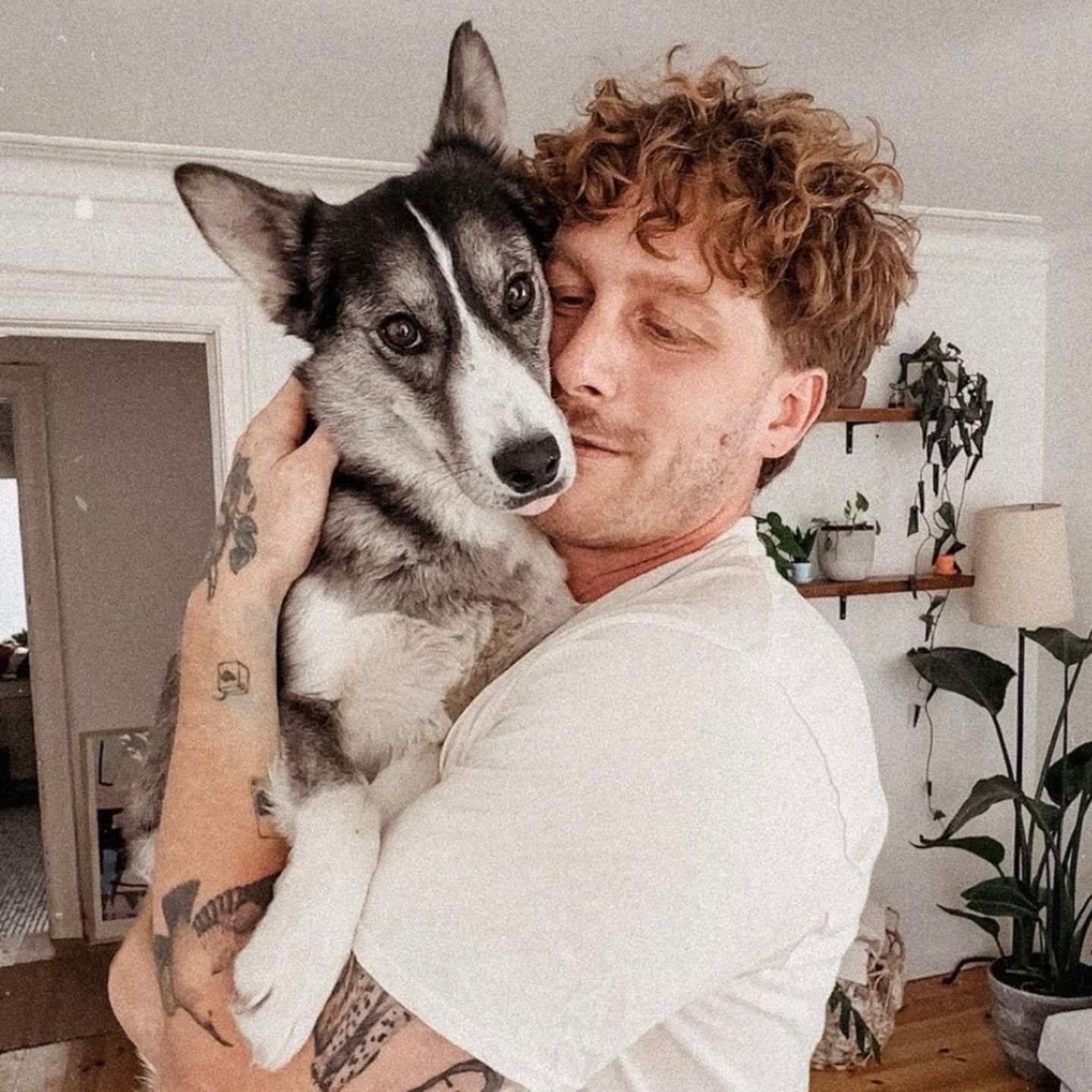 Malte Zierden hält einen Hund auf dem Arm.