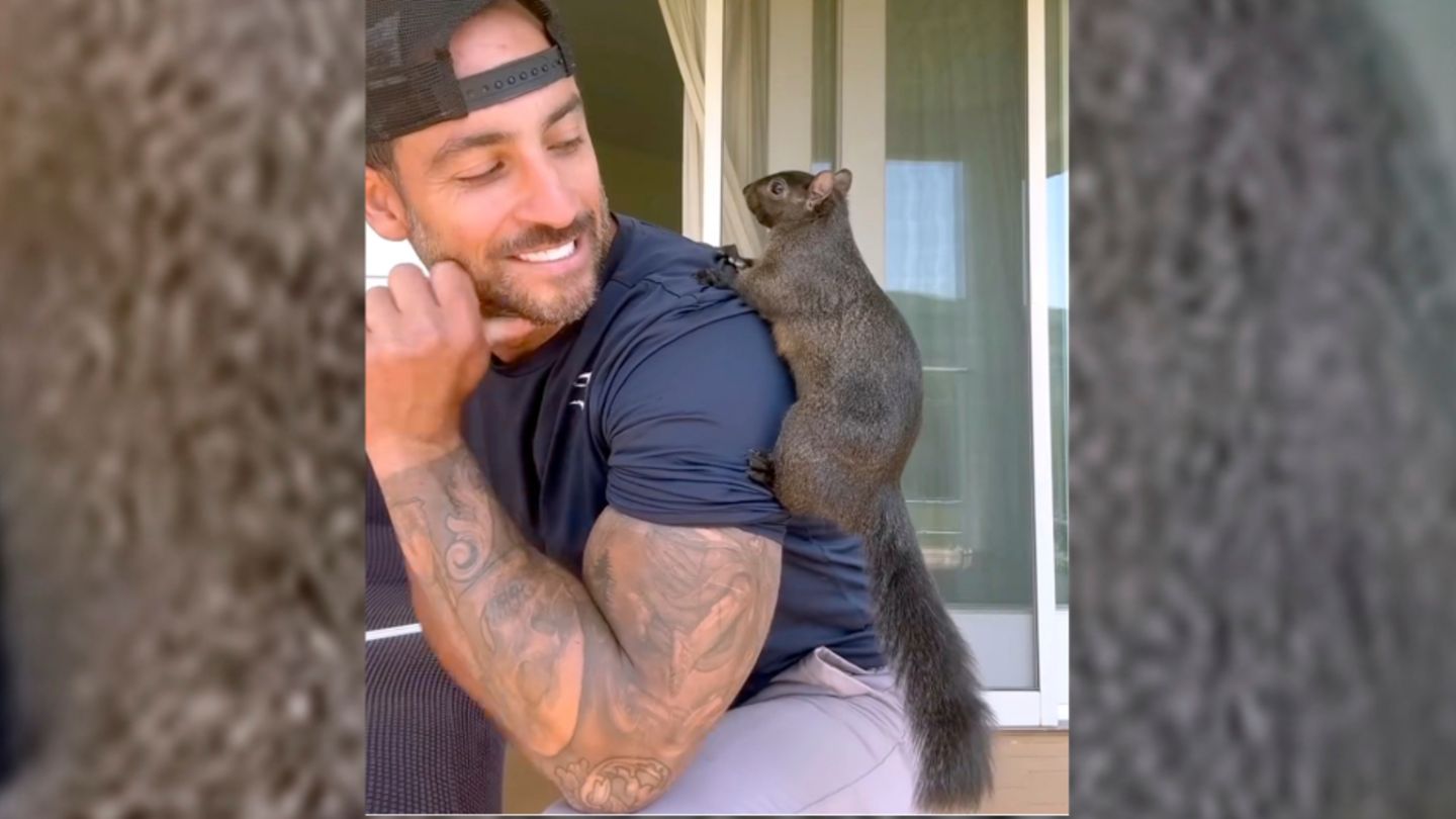 Mark Longo mit seinem Instagram-Eichhörnchen Peanut