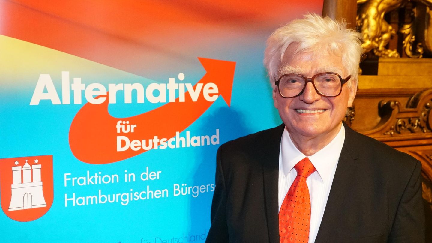 Winfried Stöcker bei einer AfD-Veranstaltung in Hamburg im November 2024