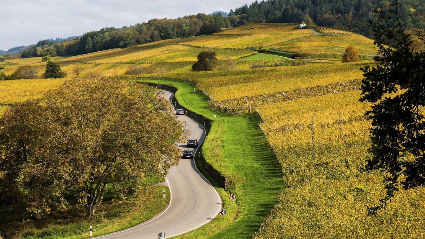 Südschwarzwald – wer es günstig mag Südschwarzwald