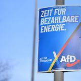 Die AfD hält den menschengemachten Klimawandel weiterhin für ein Hirngespinst