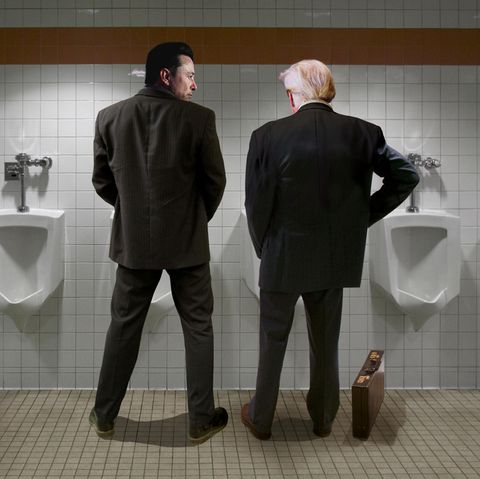 Elon Musk and Donald Trump stand on pissoirs side by side (assembly, no real photo)