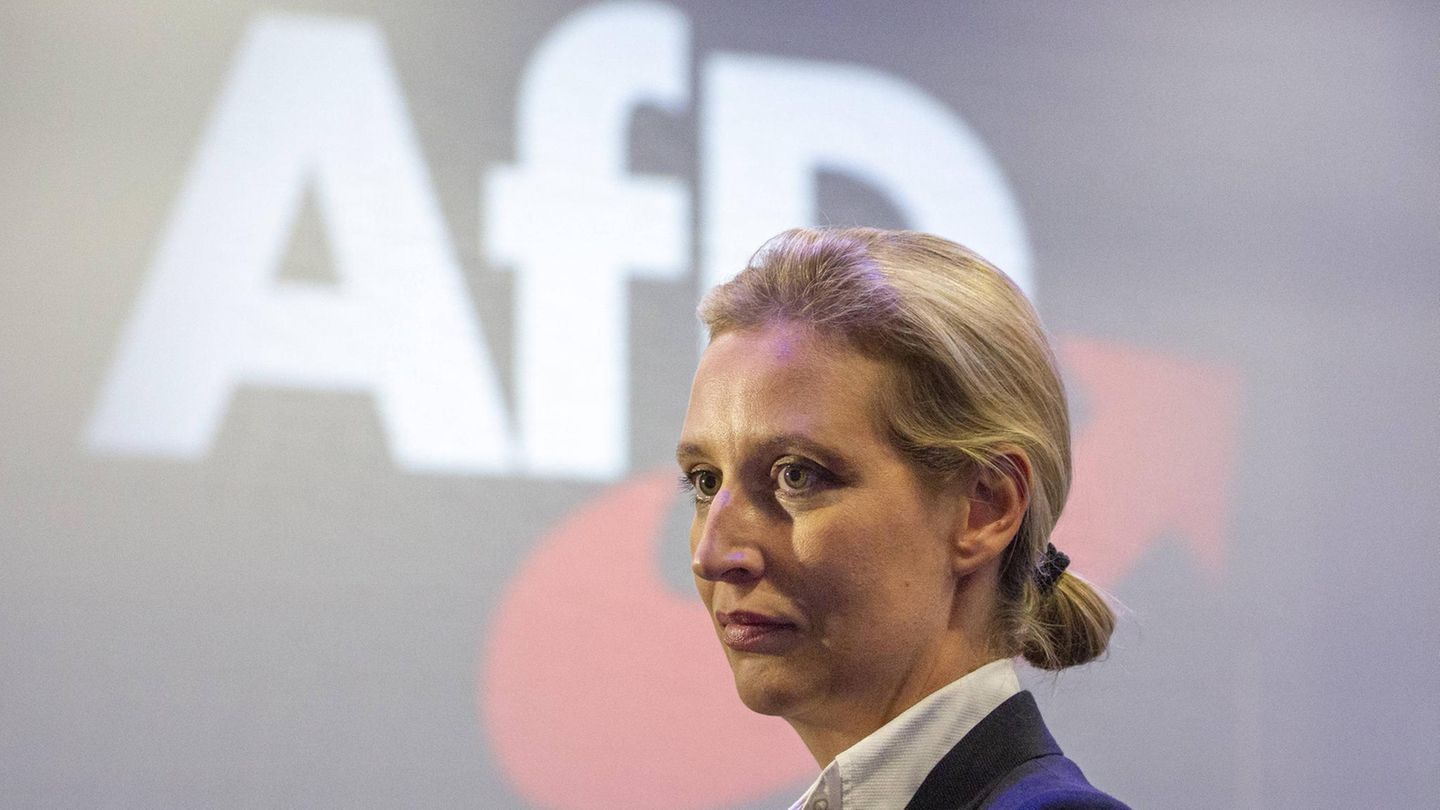 Alice Weidel in the portrait: This is the Chancellor candidate of the AfD